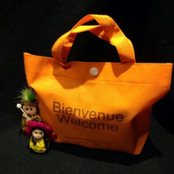 Pochette en non tissé avec 2 anses