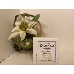 DAMANA ORGANIC Savon 20 gr