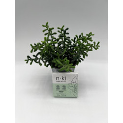 N.KI Gel douche Tube 30 ml...