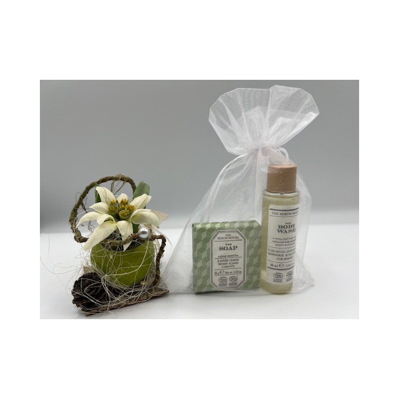 Composition RERUM NATURA dans pochette organza