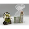 Composition RERUM NATURA dans pochette organza